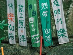 -呀诺达热带雨林