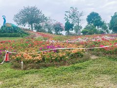 -东莞植物园