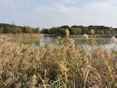 -昆山城市生态森林公园