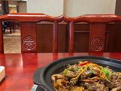 -火焰金龟甲(汉阳江滩旗舰店)