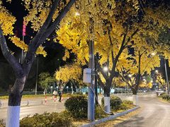 -赭山公园