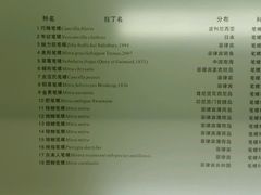 -青岛贝壳博物馆