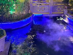 -顺德了能馆(虎门店)