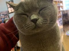 -壹人壹像工作室(购物公园店)