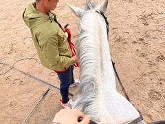 -北京群众马术培训基地