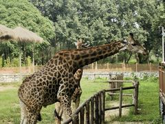 -北京野生动物园