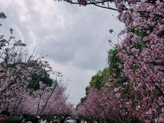 -昆明动物园