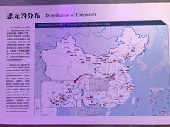 -北京周口店北京人遗址博物馆