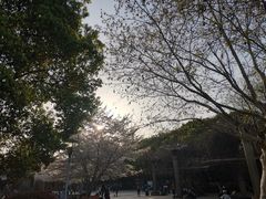 -玉山公园