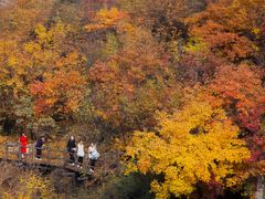 -九如山休闲旅游度假区