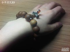 -北京佛教居士林