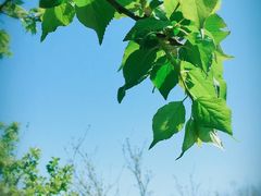 -花溪公园