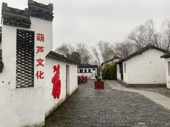 -溱湖国家湿地公园