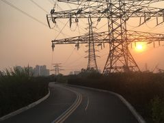 -王借岗森林公园