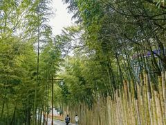 -杭州灵山景区