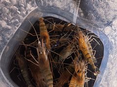 -DGE季风钓虾营地·团建·聚会