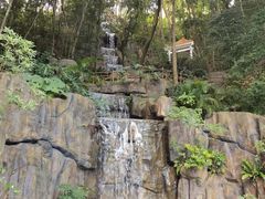 -广州市流溪河国家森林公园