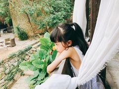 -厦门园林植物园-植物园滴水山房