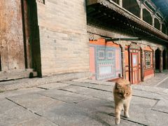 -塔尔寺