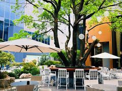 -上海虹桥祥源希尔顿酒店