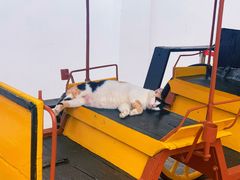 -小印度