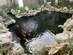 -鲤院·新中式美学·庭院餐厅(夫子庙店)