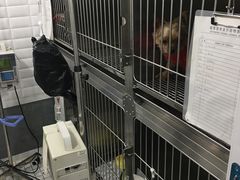 -荣耀金沙动物医院(清江西路店)