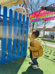 -萌宠亲子动物乐园(槐房万达店)