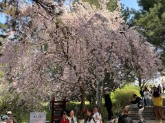 -西安青龙寺遗址景区