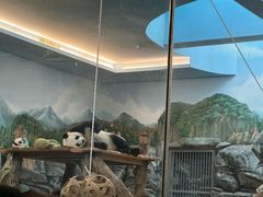 -武汉动物园