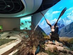 -陕西自然博物馆