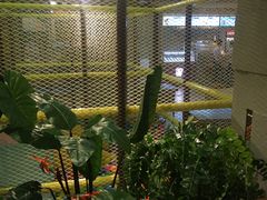 -御池园(顾村公园店)