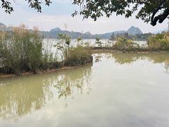 -星湖旅游景区七星岩