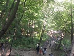 -香炉山国家森林公园