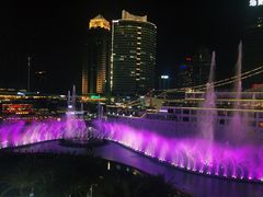竹笙椰子鸡-润园四季椰子鸡火锅(海上世界店)
