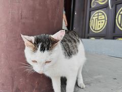 -句容茅山景区