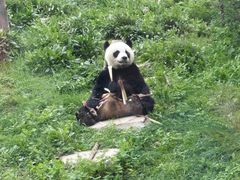 -大连森林动物园