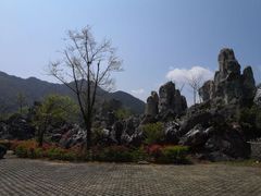 -千岛湖石林