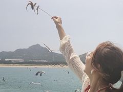 -海驴岛(荣成市)