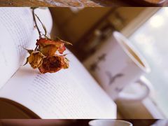 -雕刻时光咖啡馆(交大店)