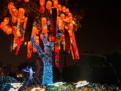 -合肥融创乐园