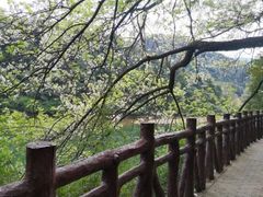 -广州市石门国家森林公园