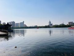 -莲花池公园