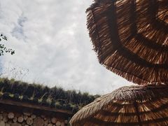 -田德能咖啡博物馆