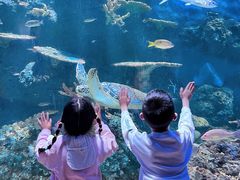 -华夏文旅西安度假区