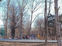 -回龙观体育文化公园