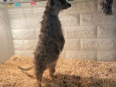 -平行世界·猫咖(首经贸店)