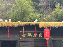 -白鹿原影视城