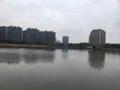 -南翔镇银翔湖公园