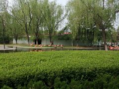 -石家庄市动物园